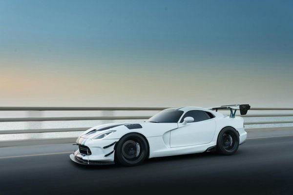 So bringst du Schwung in den Alltag deines Wellensittichs: Spannende Ideen gegen Langeweile im Vogelleben