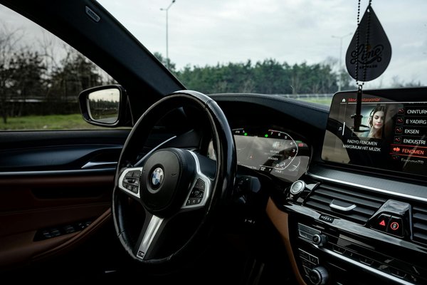 Effektive Strategien gegen nächtliches Maunzen Ihrer Katze: Endlich wieder erholsam schlafen!